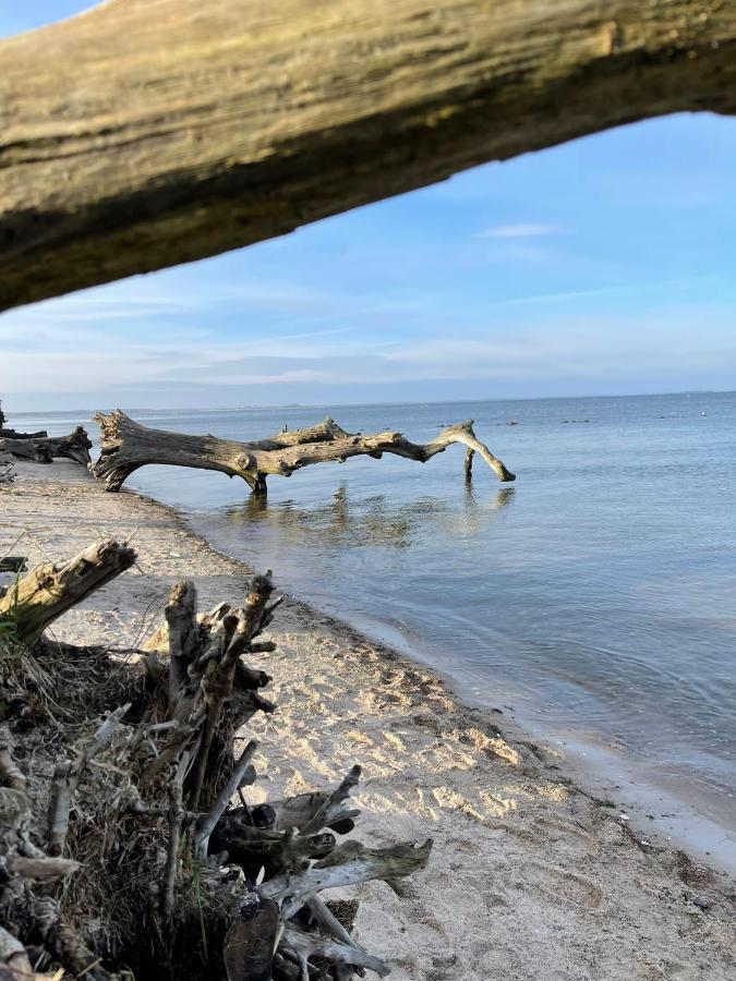 Apartment Urlaub Nahe Der Peene Naehe Der Ostsee Rustow