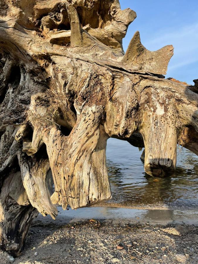 Urlaub Nahe Der Peene Naehe Der Ostsee